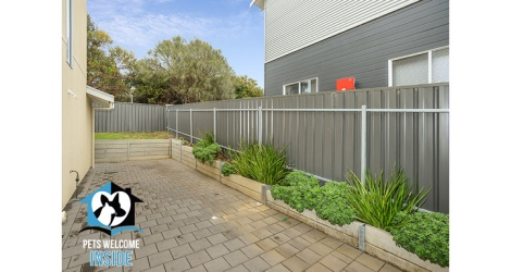 Pet Let - Albatross Ave, Hayborough - 5