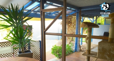 Pet Let - Colman Rd, Goolwa - 3