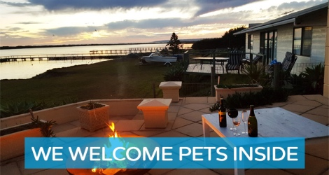 Best Gift Cards - featured Pets