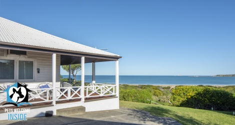 Pet Let - Hindmarsh Rd, McCracken - 1