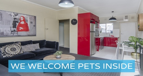 Pet Let - Kensington Rd, Norwood image