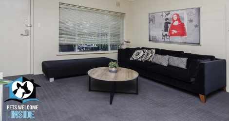Pet Let - Kensington Rd, Norwood - 2