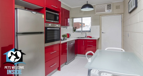 Pet Let - Kensington Rd, Norwood - 3