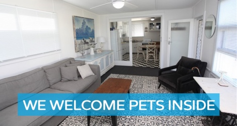 Pet Let - Kingdon Pl, Goolwa - 3