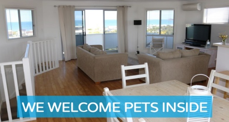 Pet Let - Morrison Ave, Middleton - 2