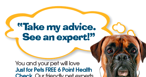 Pets Unleashed - 2