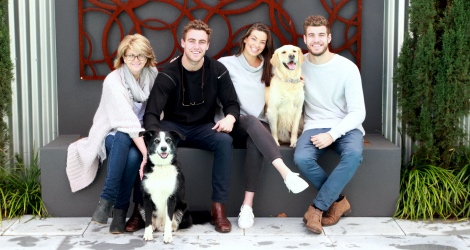 Petstar Photography image