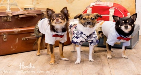 Photo Studio @ Hachi Melbourne - 4