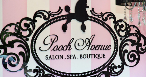 Pooch Avenue - Day Spa & Grooming - 4