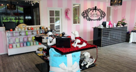 Pooch Avenue - Pet Boutique - 1