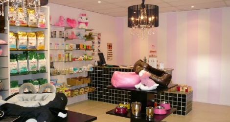 Pooch Avenue - Pet Boutique - 4