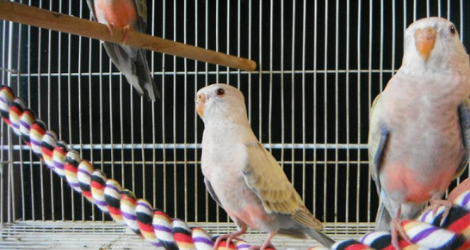 Port Stephens Pet Barn - 2