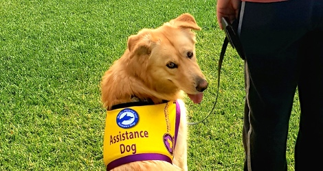 Positive Response Assistance Dogs - Gold Coast  Area - 1