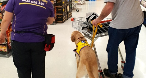 Positive Response Assistance Dogs - Gold Coast  Area - 2