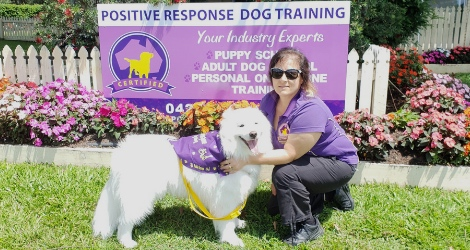 Positive Response Dog Training - Brisbane Area - 2