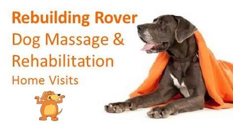 Rebuilding Rover – Massage for Dogs image