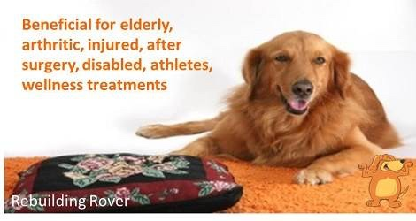 Rebuilding Rover – Massage for Dogs - 3