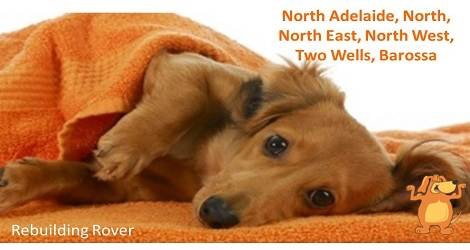Rebuilding Rover – Massage for Dogs - 4