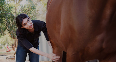 Sacred Horse Naturopathy image