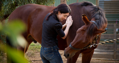 Sacred Horse Naturopathy - 3