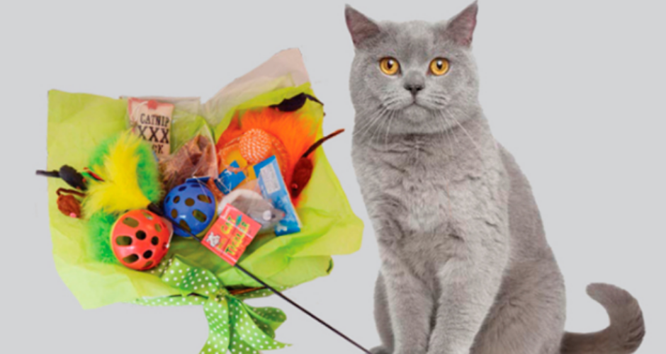 Scamper Hampers - ACT (Delivery) - 2