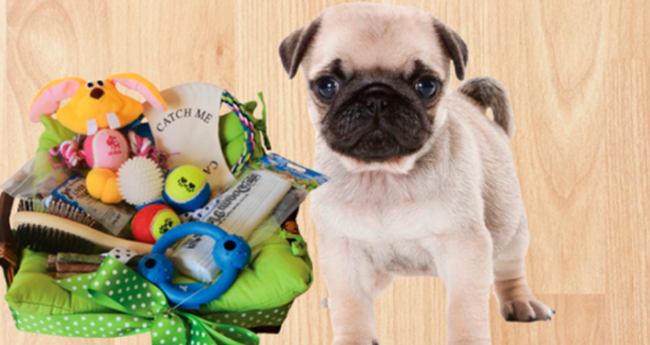 Scamper Hampers - ACT (Delivery) - 3
