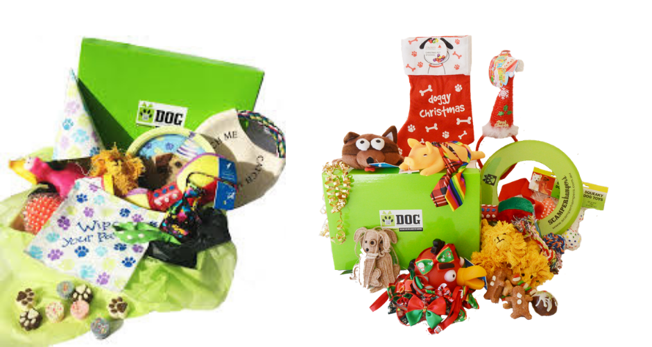 Scamper Hampers - ACT (Delivery) - 4