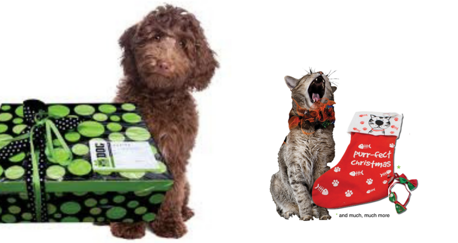 Scamper Hampers - VIC (Delivery) image