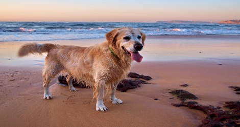 Seafarers Diamond Beach - 6