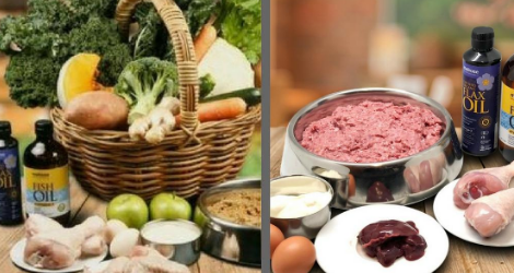 Somerford Raw & Natural Premium Pet Food - QLD (Delivery) - 2