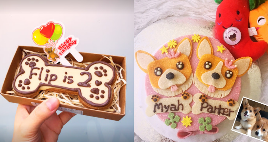 Supaw Pet Bakery - 3