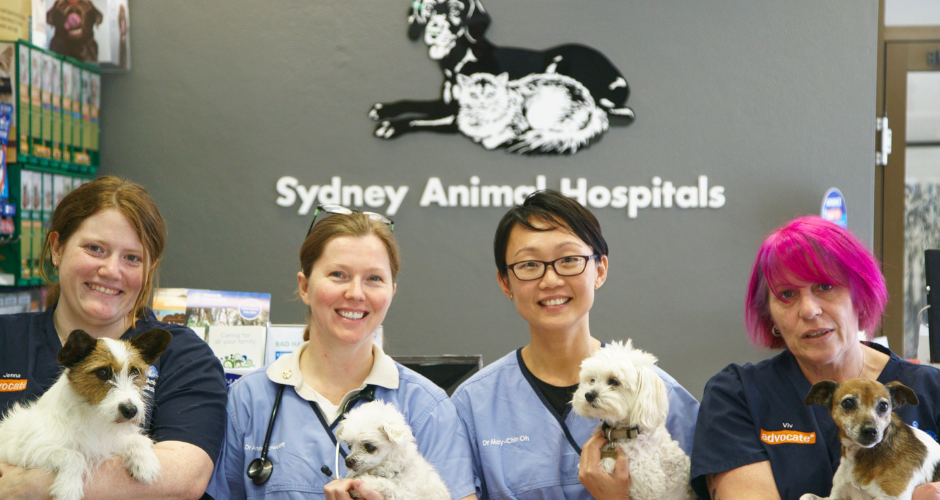 Sydney Animal Hospitals - Inner West - 2