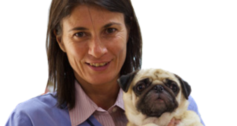 Sydney Animal Hospitals - Inner West - 3