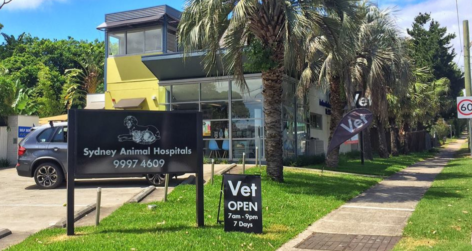 Sydney Animal Hospitals - Newport - 2
