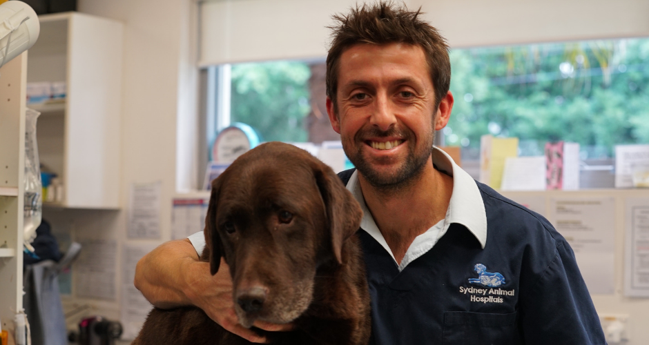 Sydney Animal Hospitals - Newport - 3