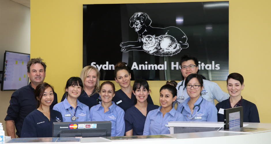 Sydney Animal Hospitals - Norwest - 2