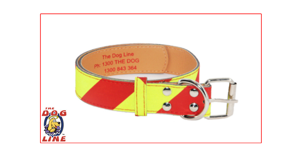 The Dog Line - NSW (Delivery) - 4