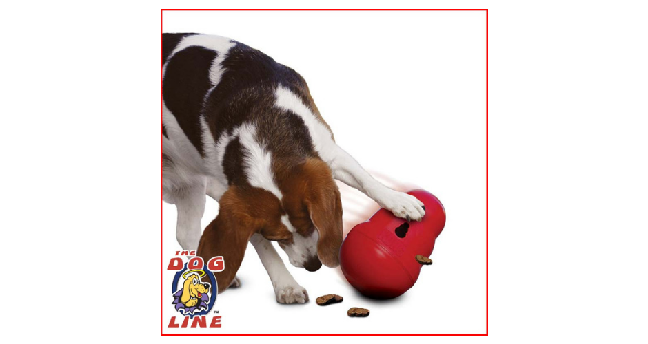 The Dog Line - SA (Delivery) - 1