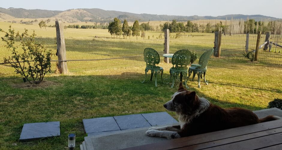 The Wattle Lodge - 1