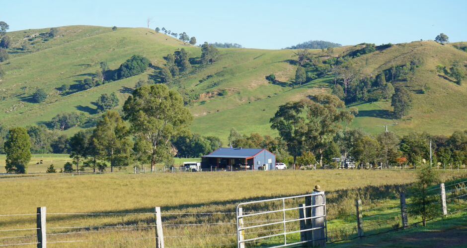The Wattle Lodge - 5