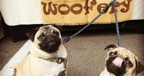 The Woofery - Dog Bakery & Café image