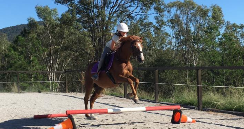 Trevena Glen Farm- Horse Riding Farmstay - 3