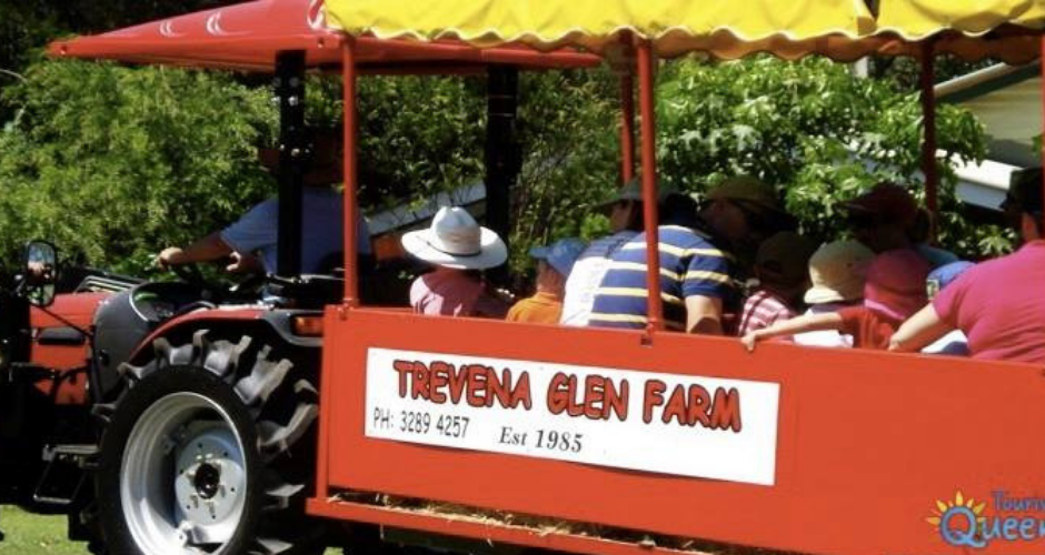 Trevena Glen Farm- Horse Riding Farmstay - 5