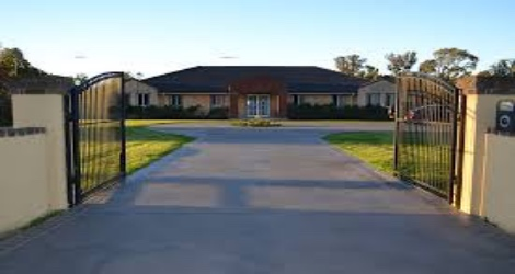 Triple Crown Pet Resort - 1