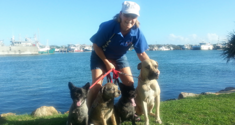 Walk With Me, Pets - Dog Walking & Pet Care Services - 1