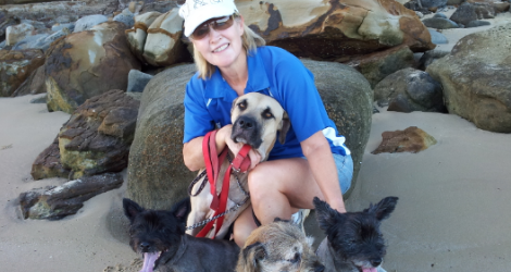 Walk With Me, Pets - Dog Walking & Pet Care Services - 2