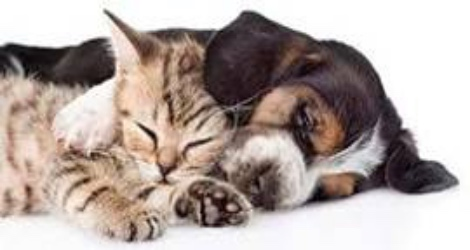 Warragul Pet Emporium - 3